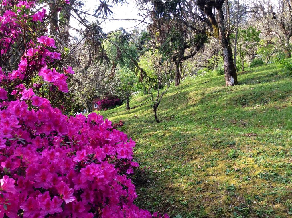 Sitio Nossa Senhora De Loreto Campos do Jordão المظهر الخارجي الصورة