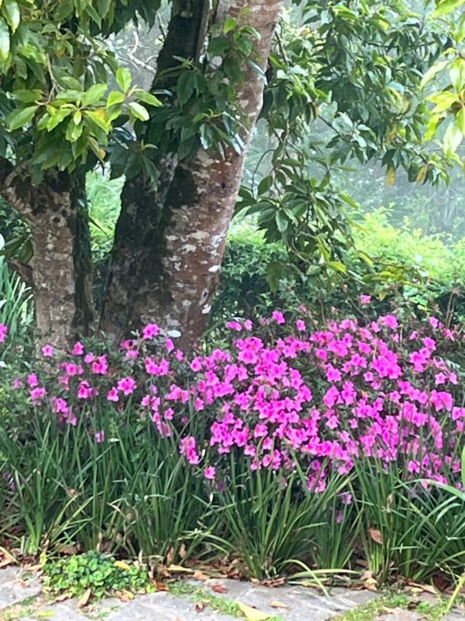 Sitio Nossa Senhora De Loreto Campos do Jordão المظهر الخارجي الصورة