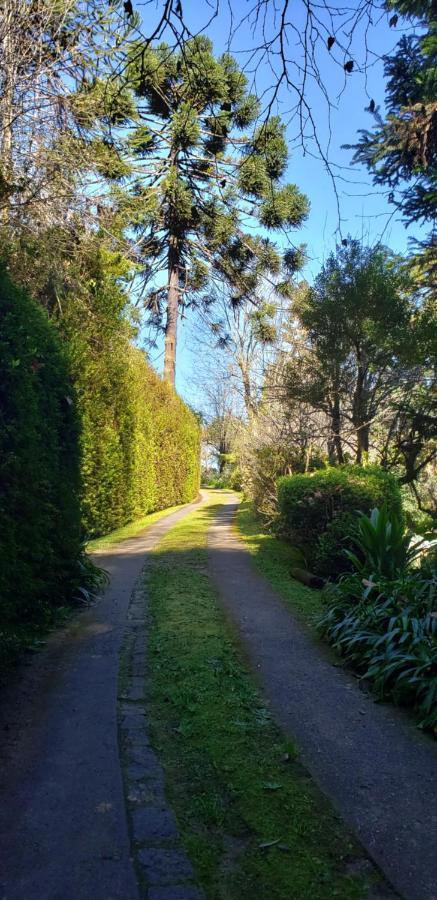 Sitio Nossa Senhora De Loreto Campos do Jordão المظهر الخارجي الصورة
